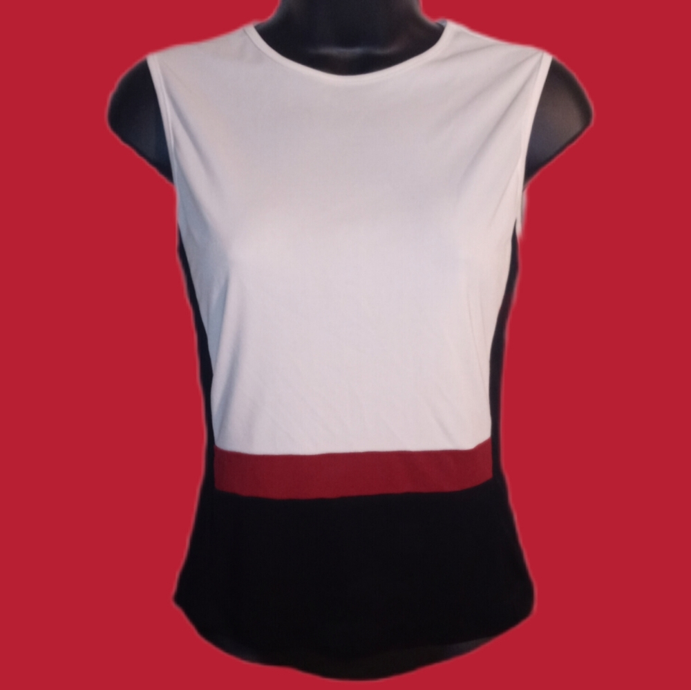 The Limited Top